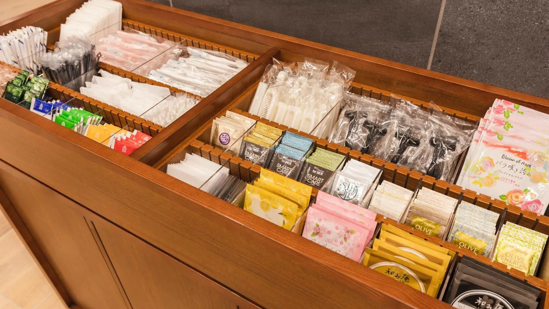 Sotetsu Fresa Inn Sapporo-Susukino Japón
